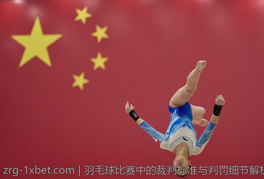 羽毛球比赛中的裁判标准与判罚细节解析
