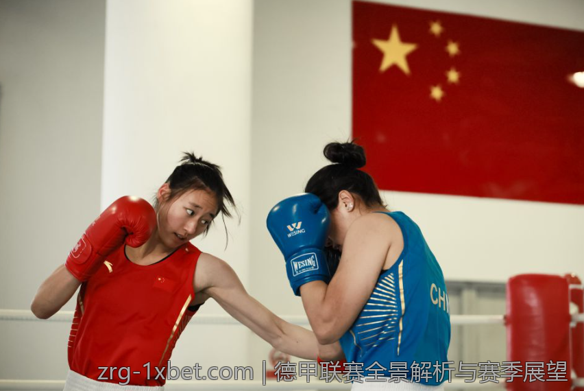 德甲联赛全景解析与赛季展望
